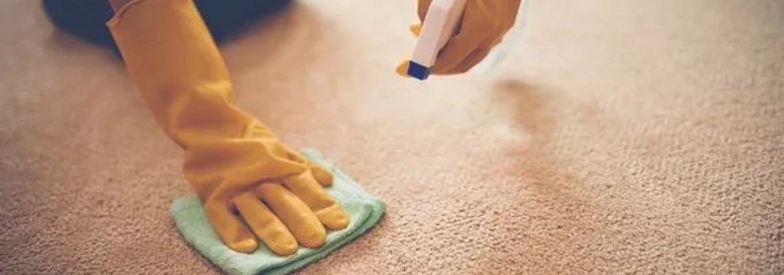 Profesyonel Halı Yıkamacılar İçin En İyi Halı Leke Sökücüler Profesyonel Halı Yıkamacılar İçin En İyi Halı Leke Sökücüler